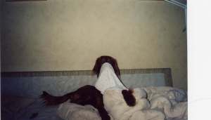 My girl friend in 2003, Reka Szabo from Budapest, Hongrie. We were together in Budapest and France - and the pics in France were in that hotel that i post the link to the other day, before they had their make over.  (And Reka's dog..)